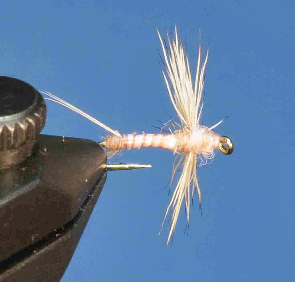 J21-08BCPC product image