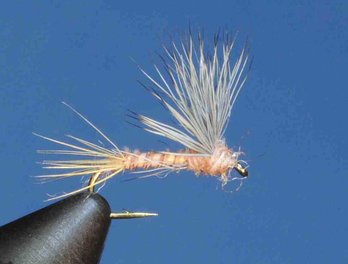 J21-08BCPD product image