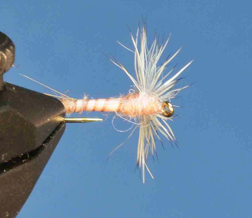 J21-08BCPD product image