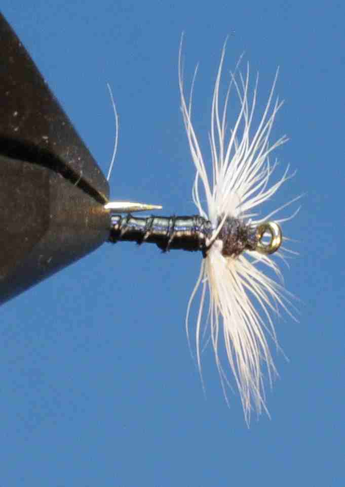 J21-08BCTC product image