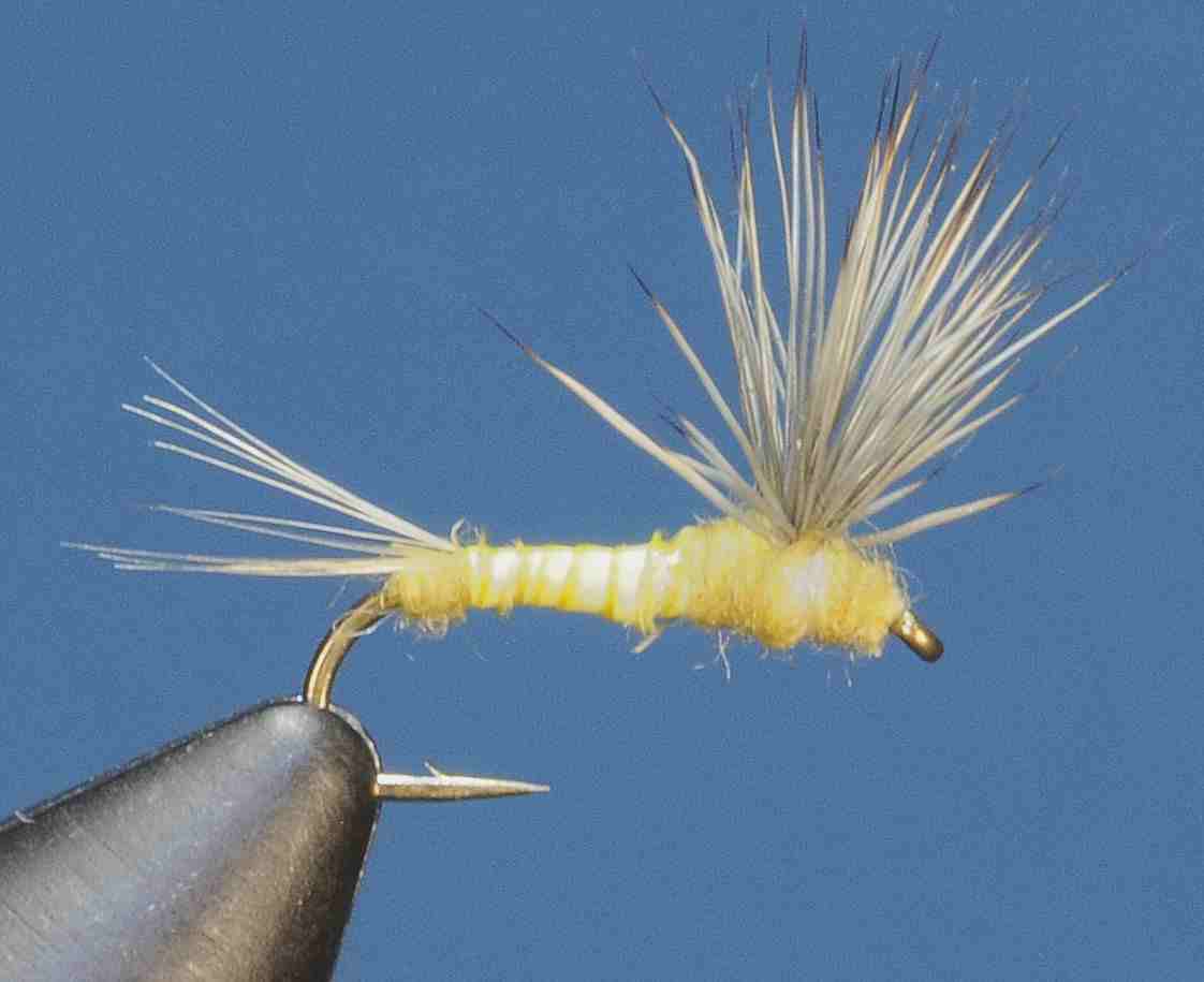 J21-08BCYD product image