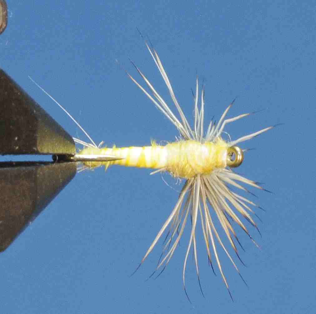 J21-08BCYD product image