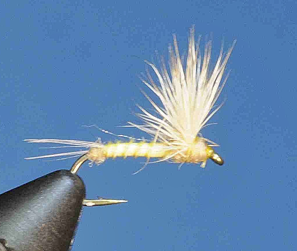 J21-08BCYL product image