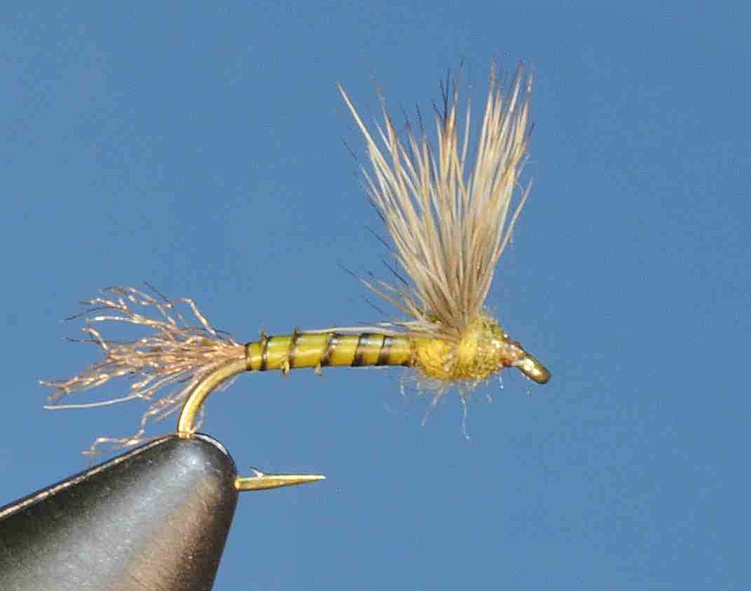 J21-08BSBW product image