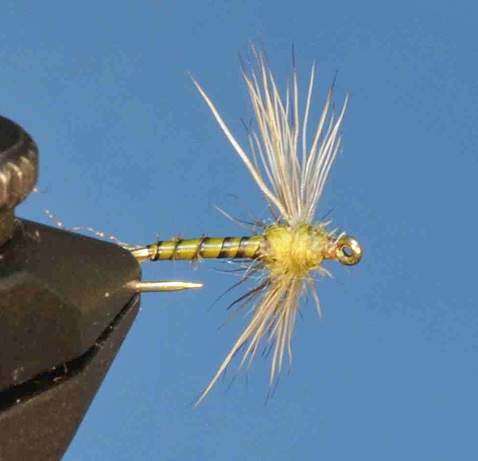 J21-08BSBW product image