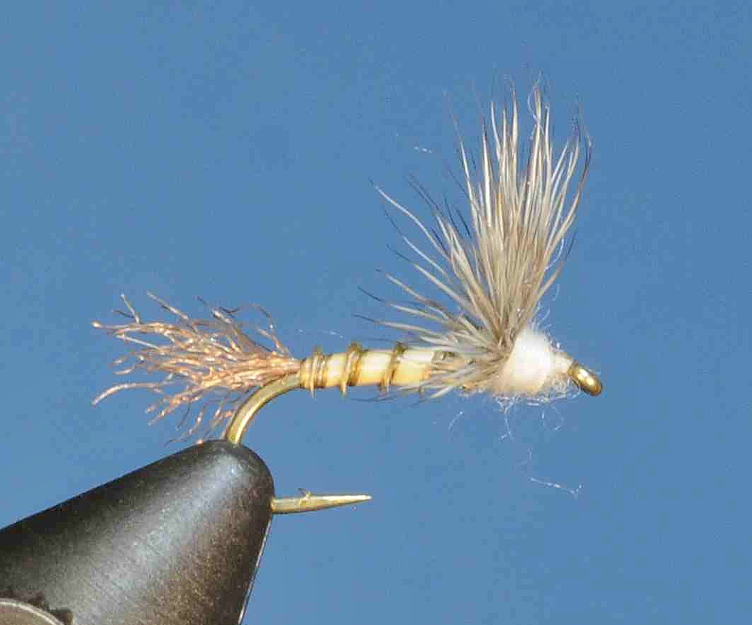 J21-08BSCL product image