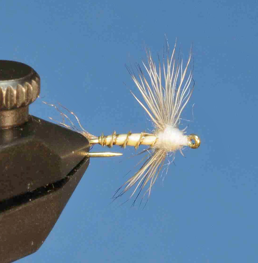 J21-08BSCL product image