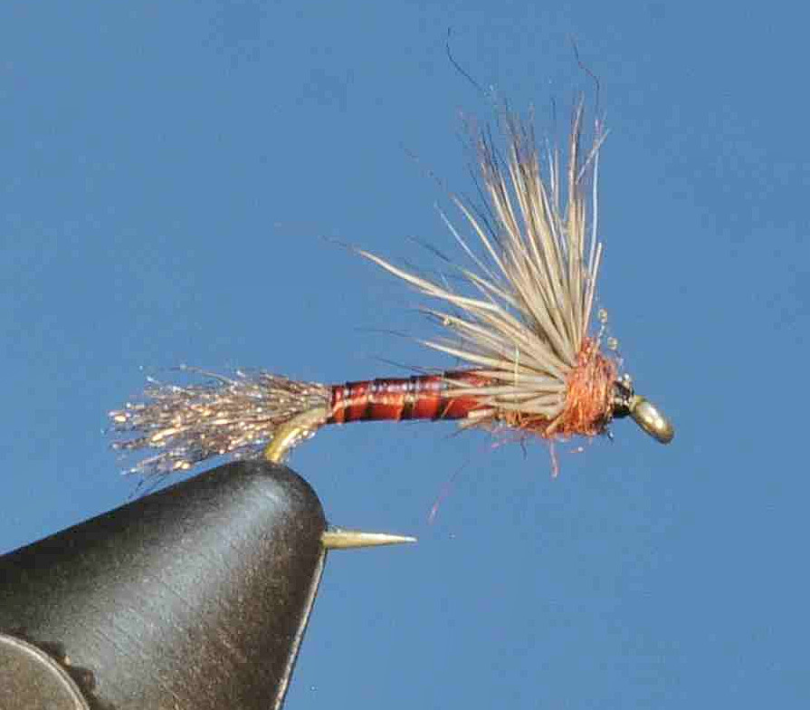 J21-08BSMA product image