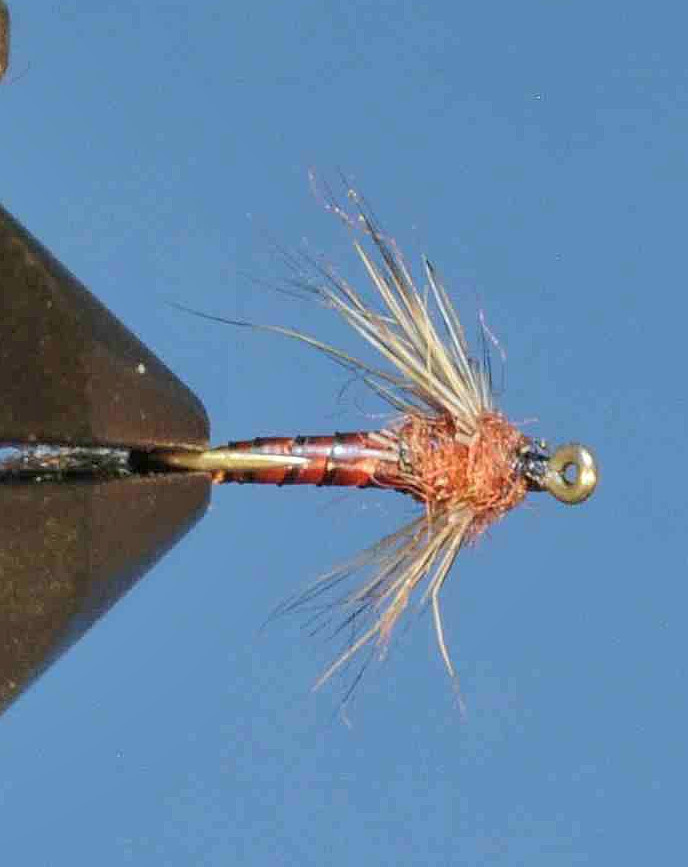 J21-08BSMA product image