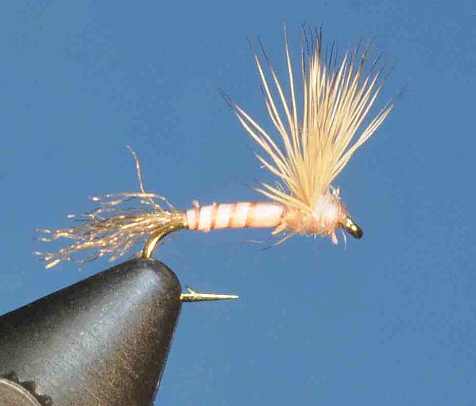 J21-08BSPC product image