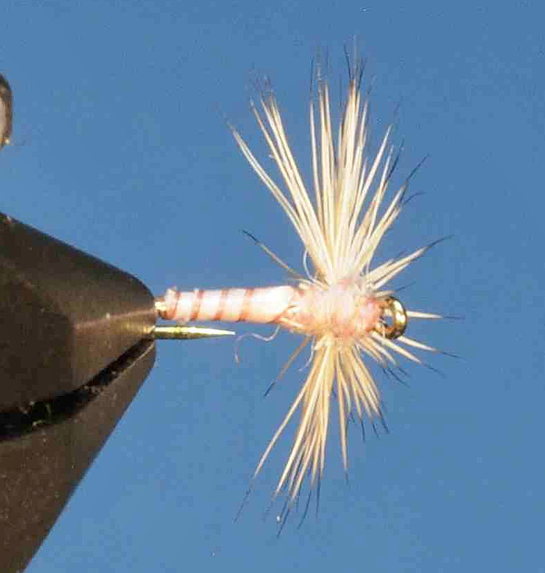 J21-08BSPC product image