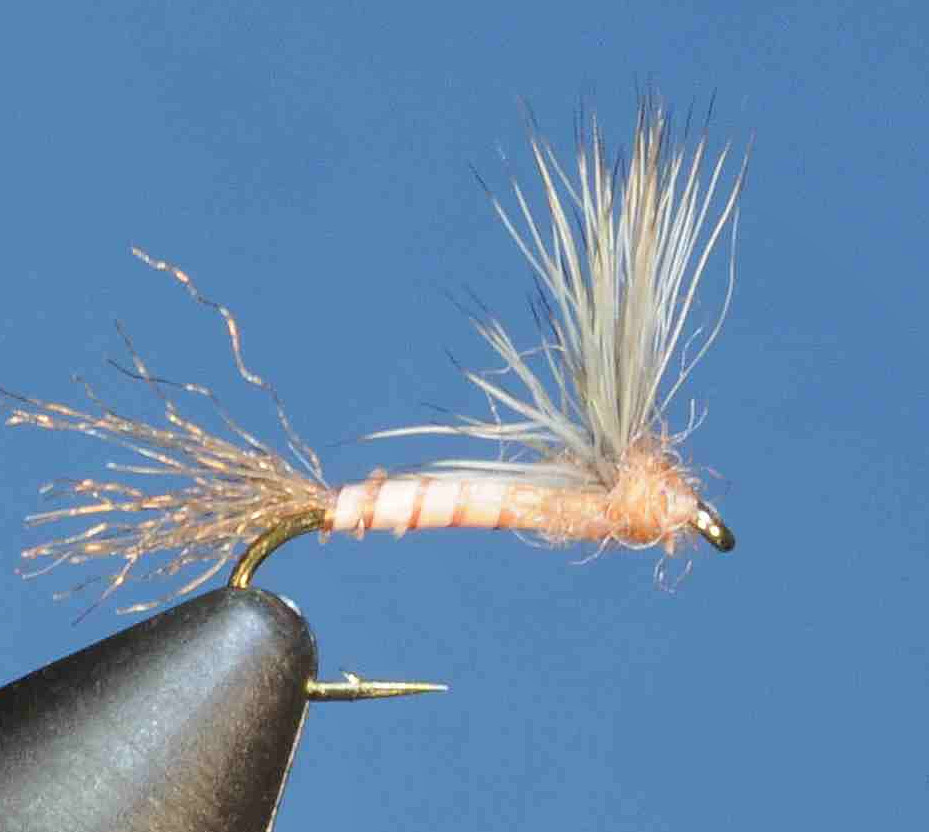 J21-08BSPD product image