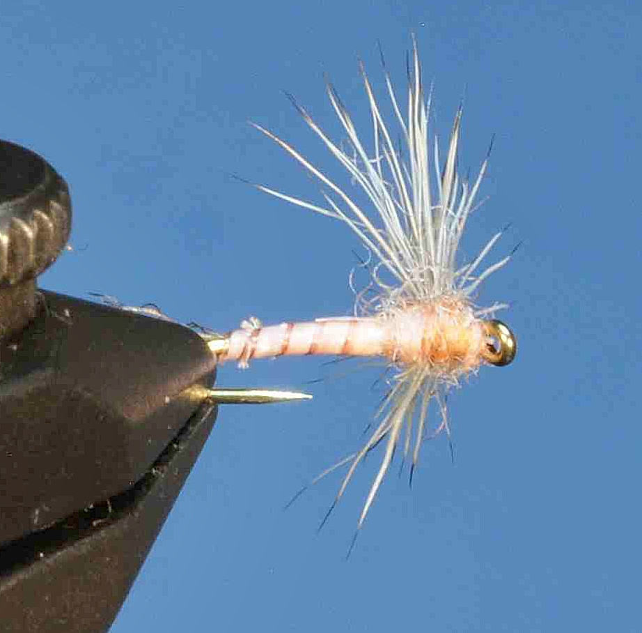 J21-08BSPD product image