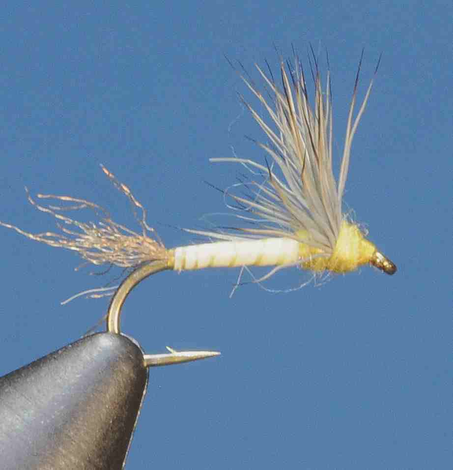 J21-08BSYD product image