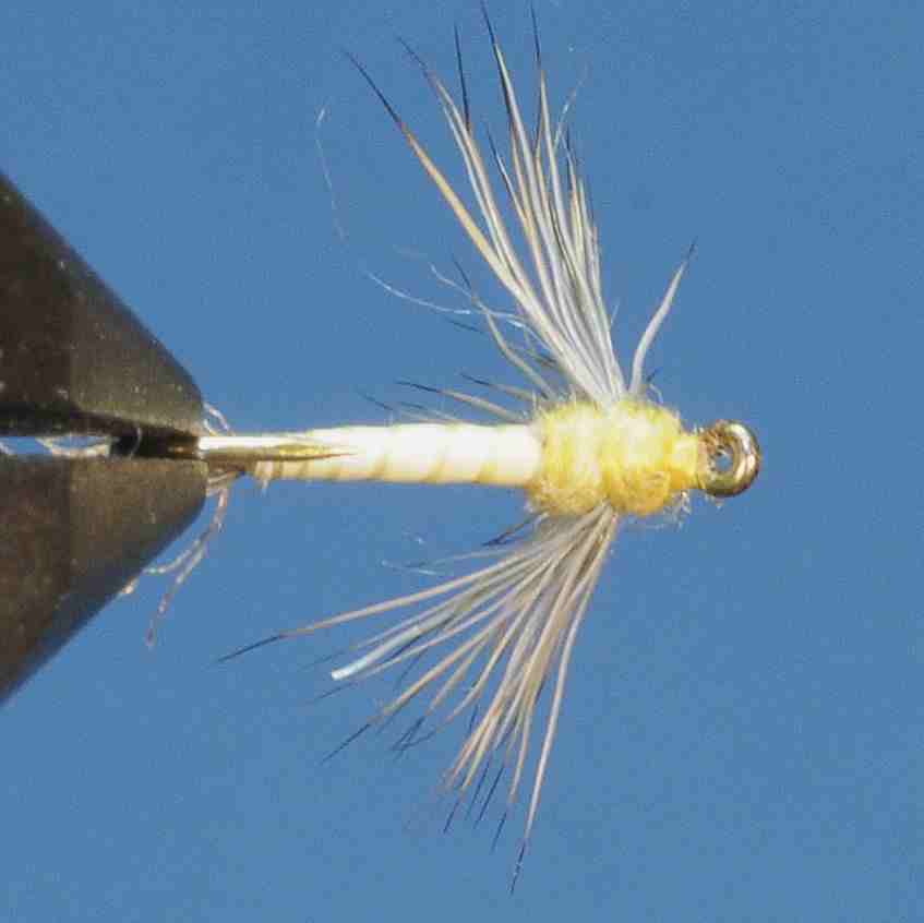 J21-08BSYD product image