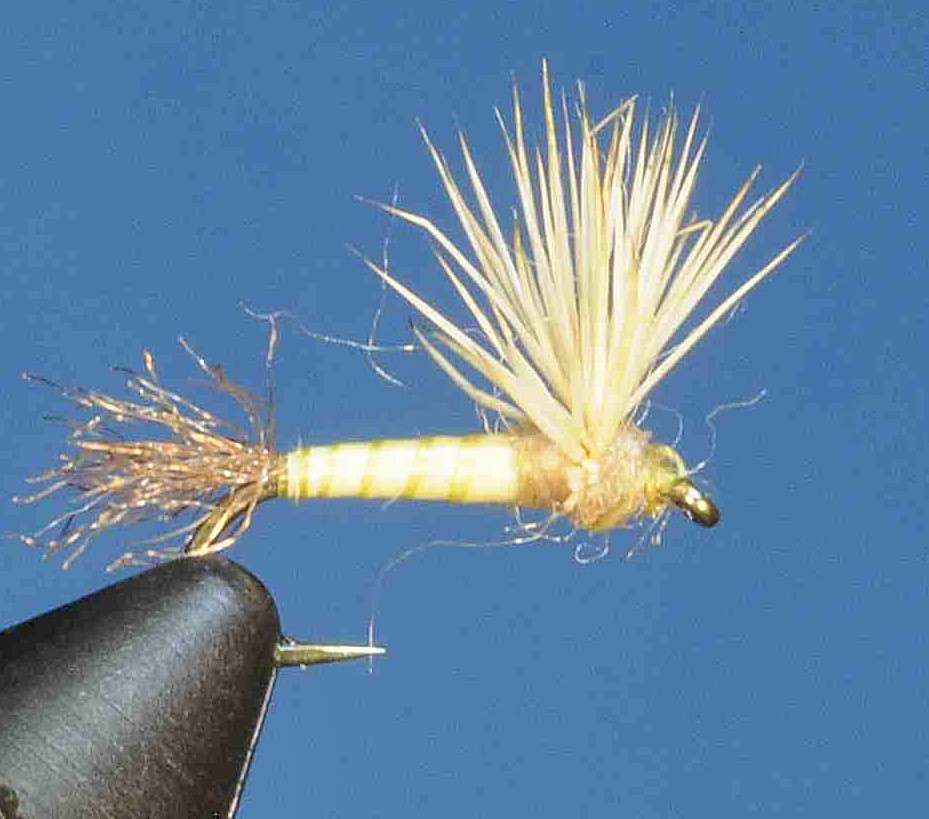 J21-08BSYL product image