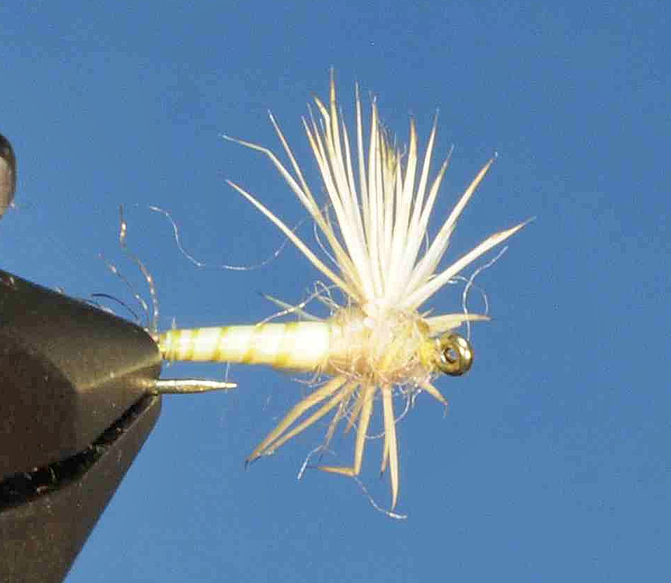 J21-08BSYL product image