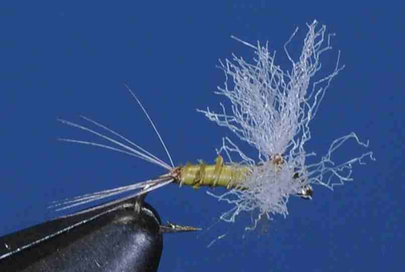 J21-08CWFB product image