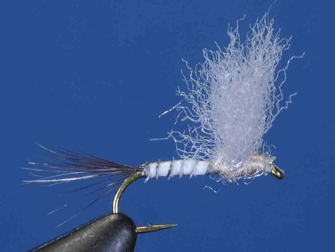 J21-08CWFC product image