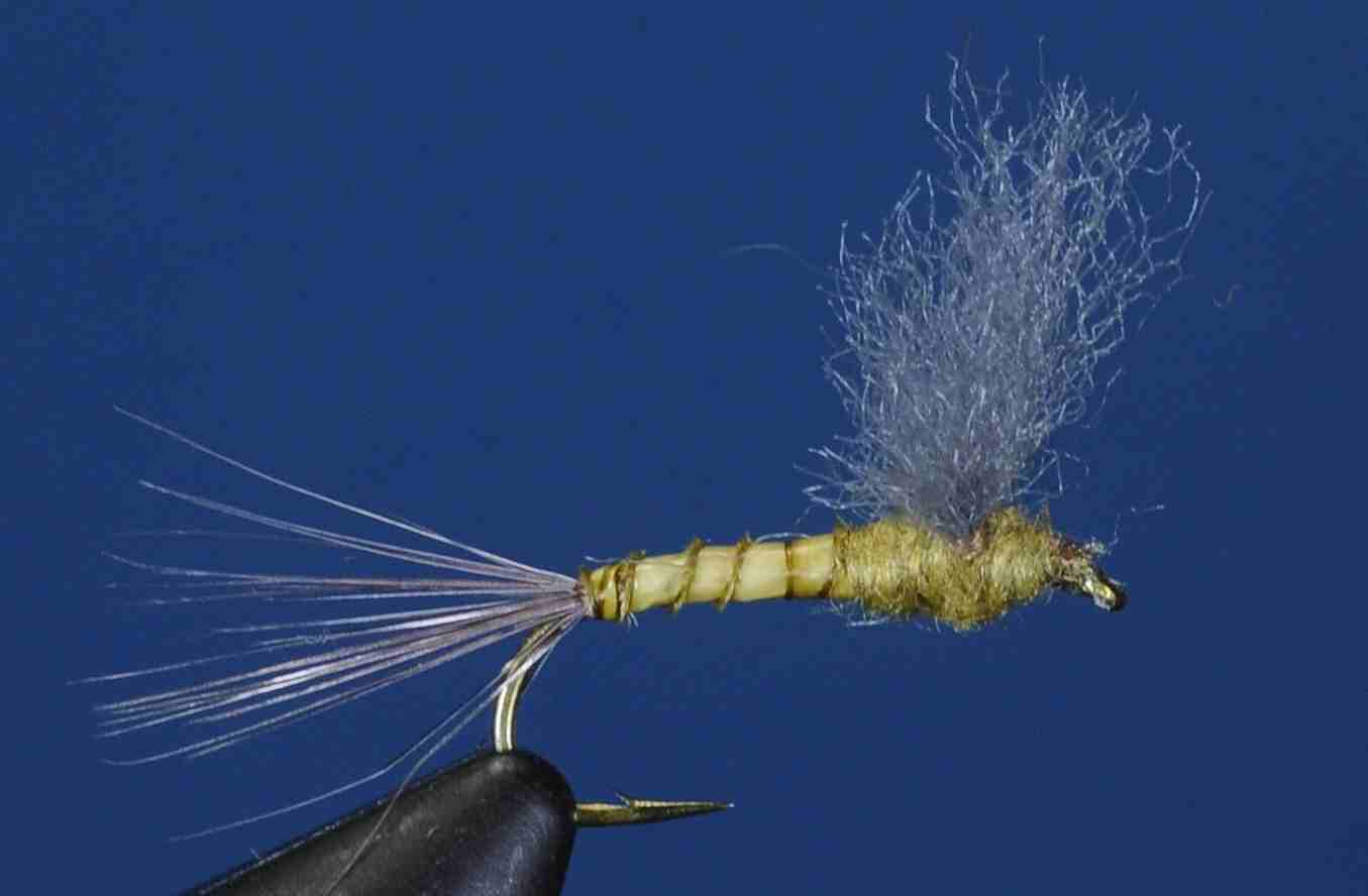 J21-08CWFG product image