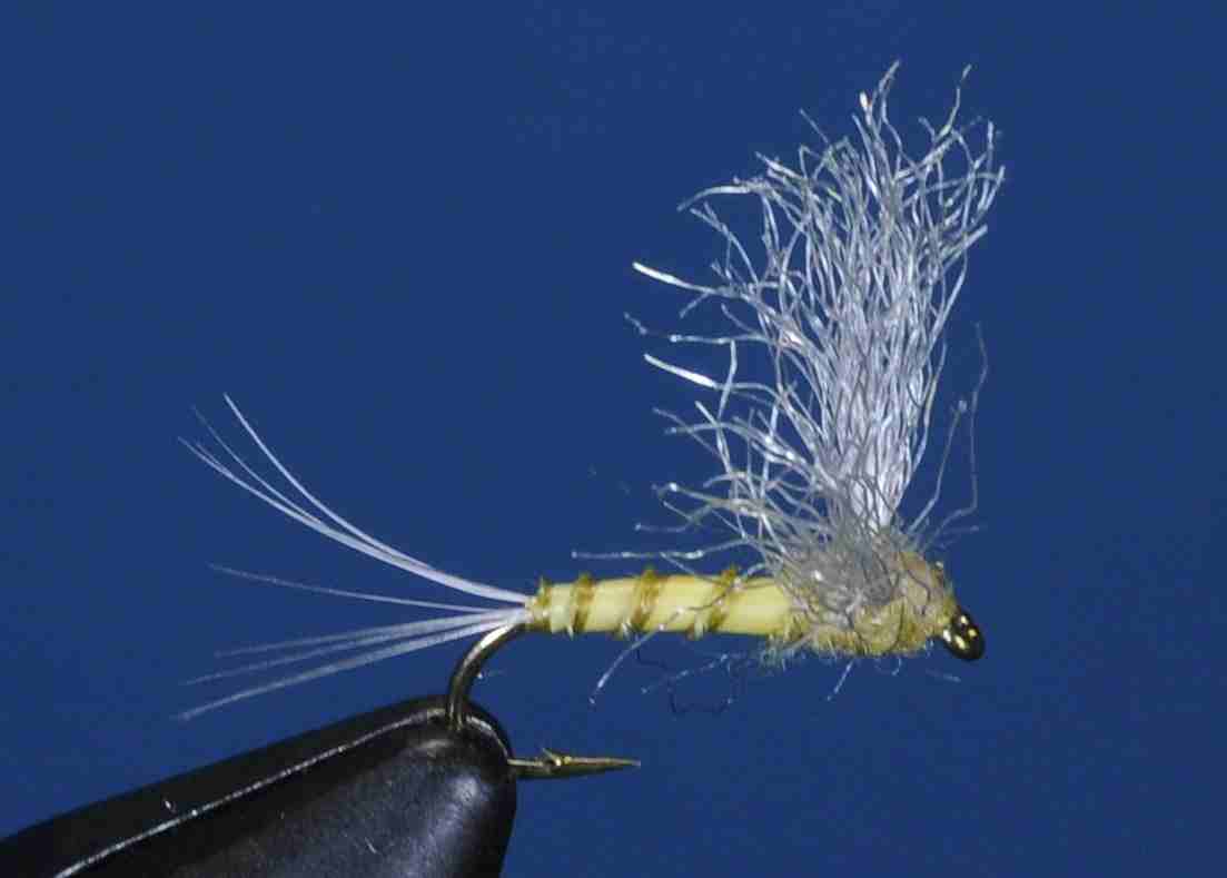 J21-08CWFP product image