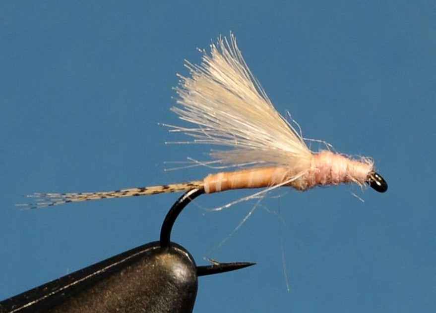 J21-08CWLA product image