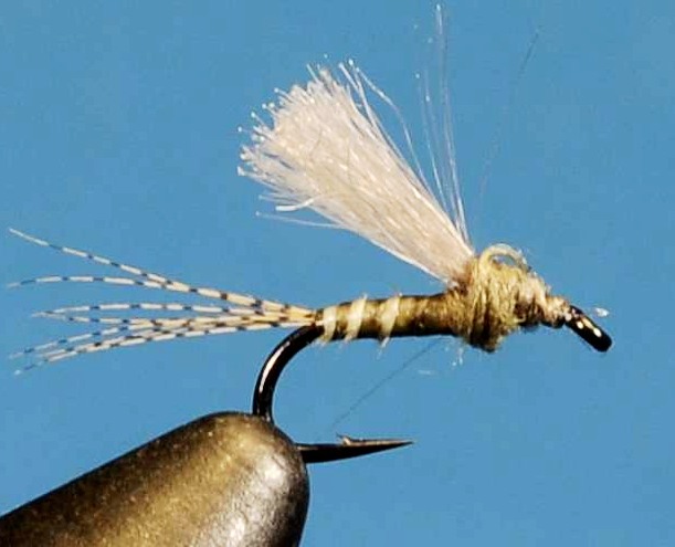 J21-08CWLO product image