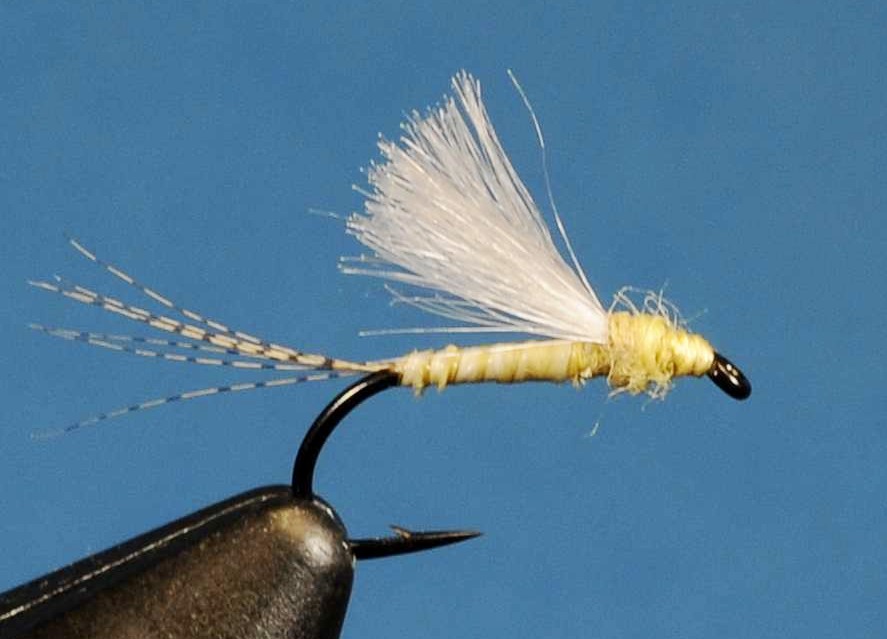 J21-08CWLP product image