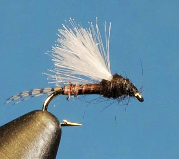 J21-08CWLT product image