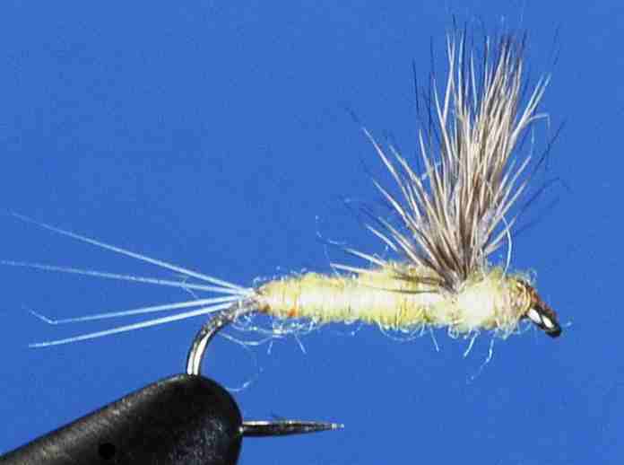 J21-08GYCR product image