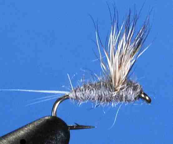 J21-08GYDN product image