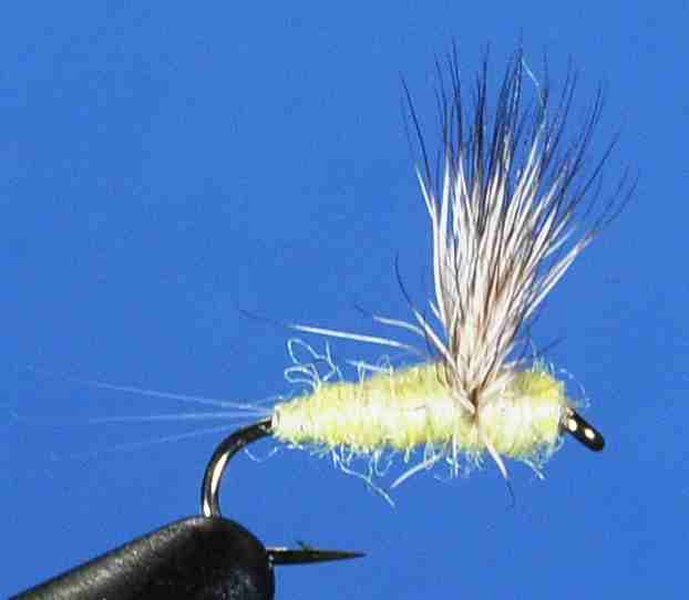 J21-08GYYL product image