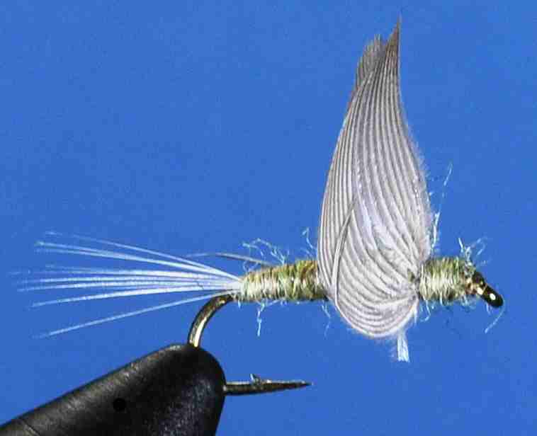 J21-08NHFL product image