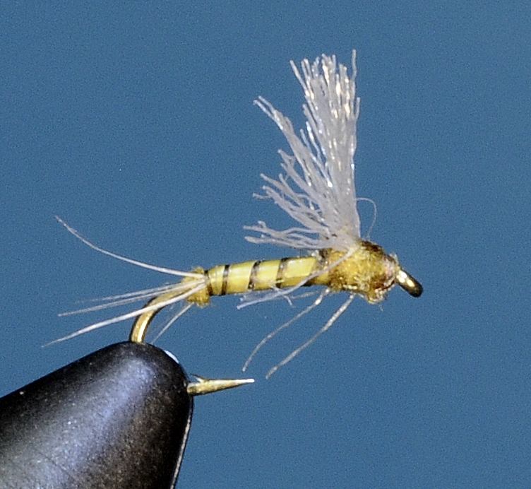 J21-08PCBW product image