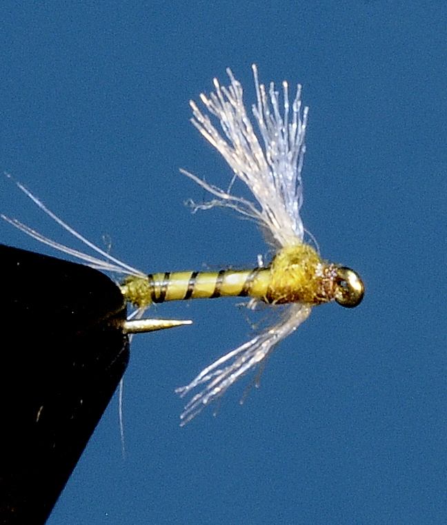 J21-08PCBW product image