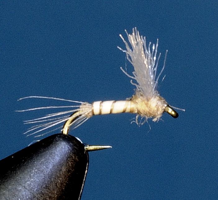 J21-08PCTW product image