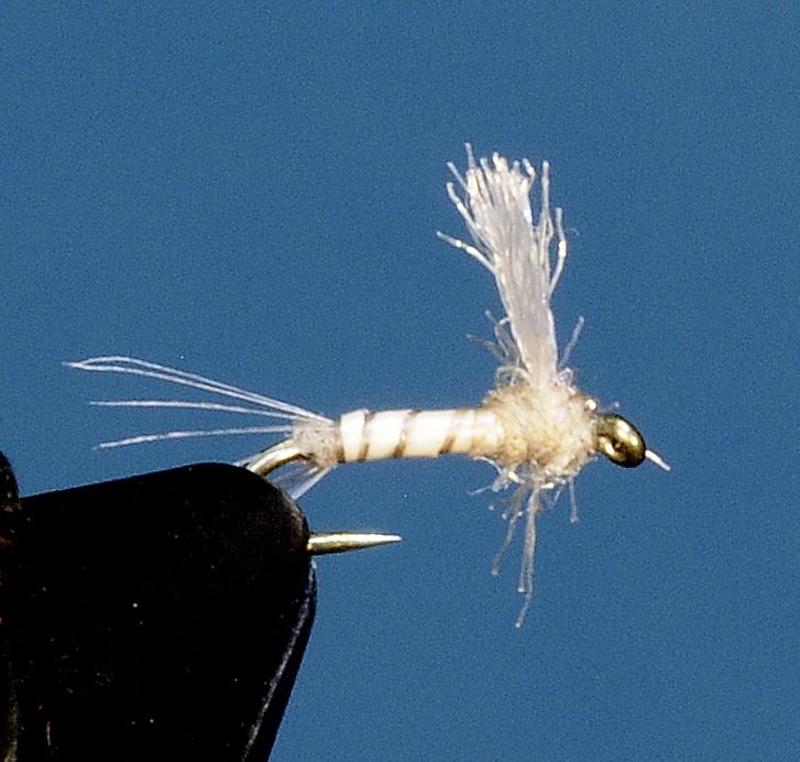 J21-08PCTW product image