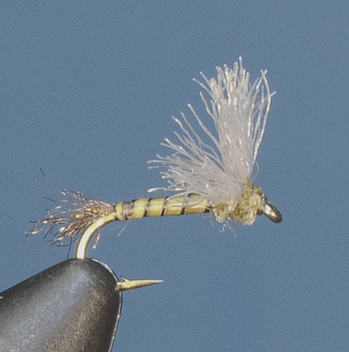 J21-08PSBW product image