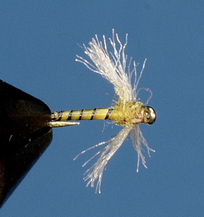 J21-08PSBW product image