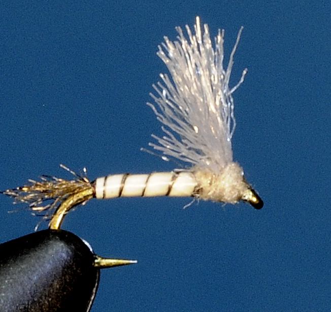 J21-08PSTW product image