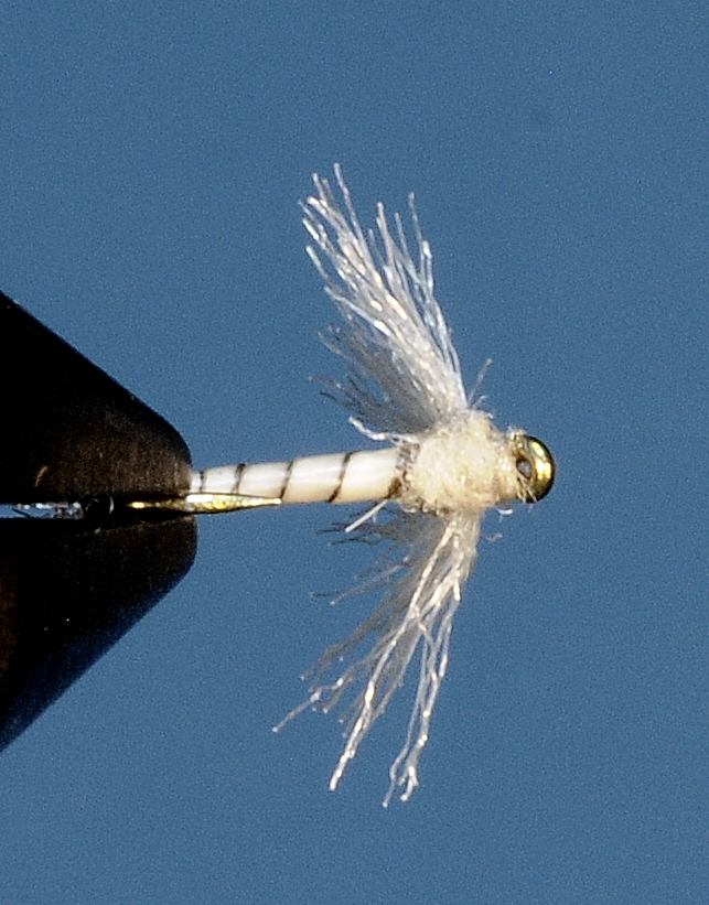 J21-08PSTW product image