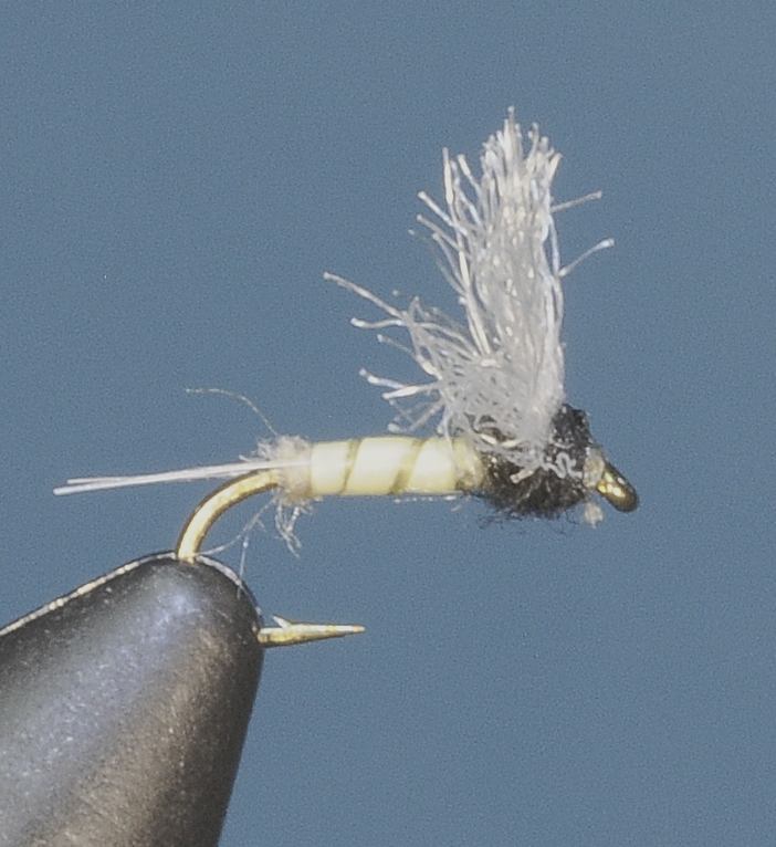 J21-08PTFC product image