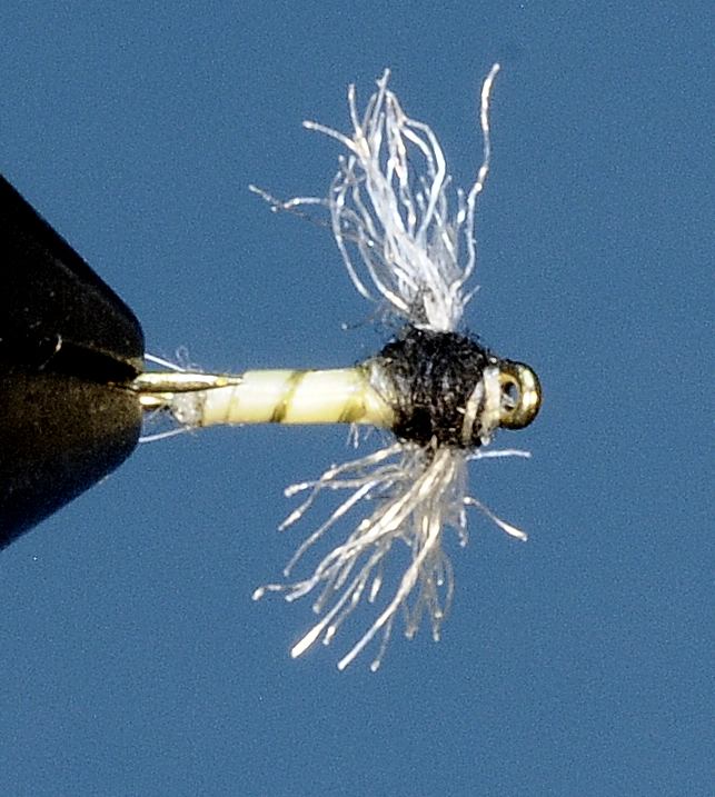 J21-08PTFC product image