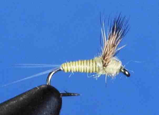 J21-08QGYL product image