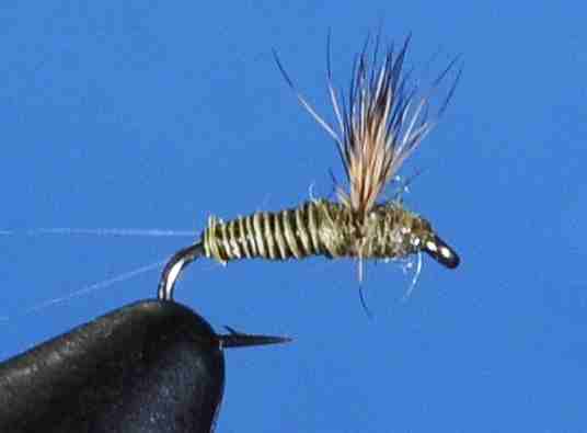 J21-08QSOL product image