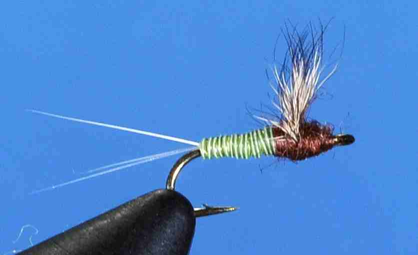 J21-08QTRF product image