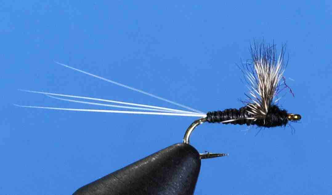 J21-08QTRM product image