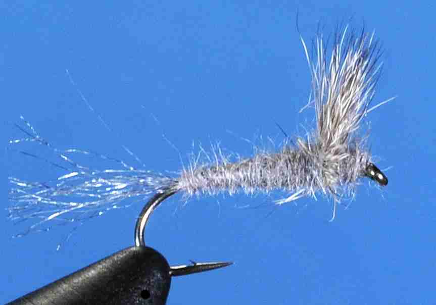 J21-08SDBD product image