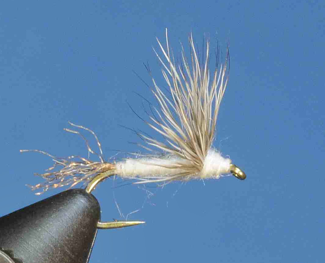 J21-08SDCL product image