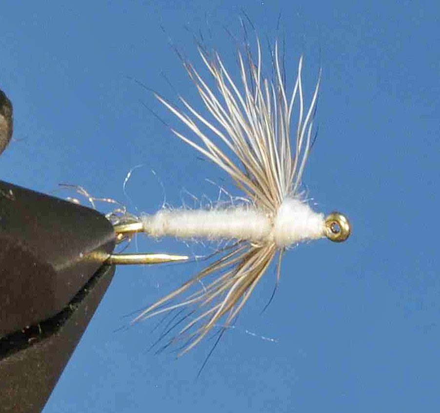 J21-08SDCL product image